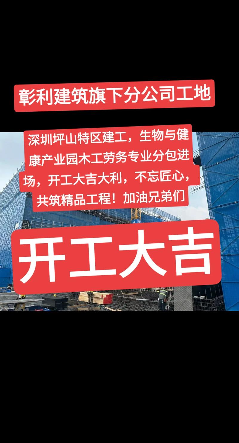 深圳坪山特区建工生物与健康产业园项目木工劳务专业分包方案